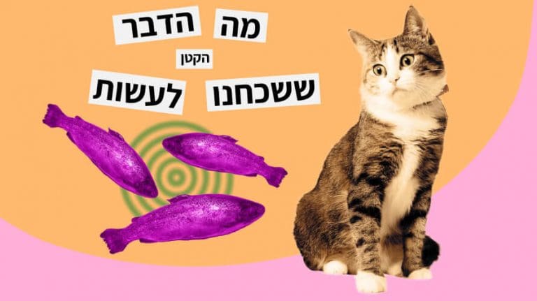 כריזמטיים באמת