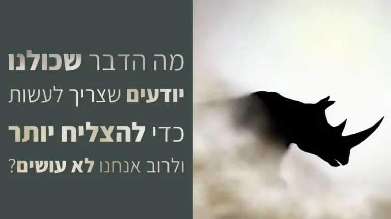 מומנט התנועה