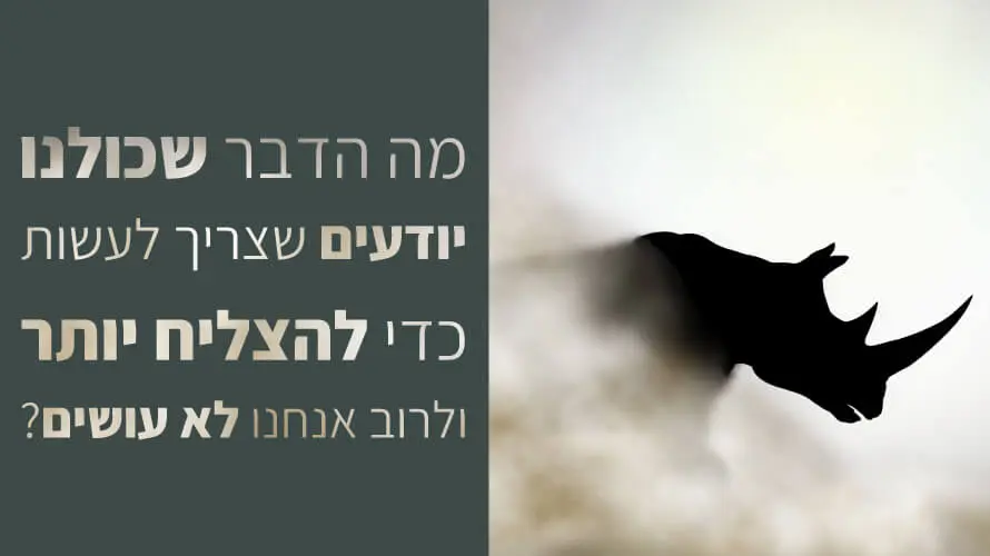 מומנט התנועה